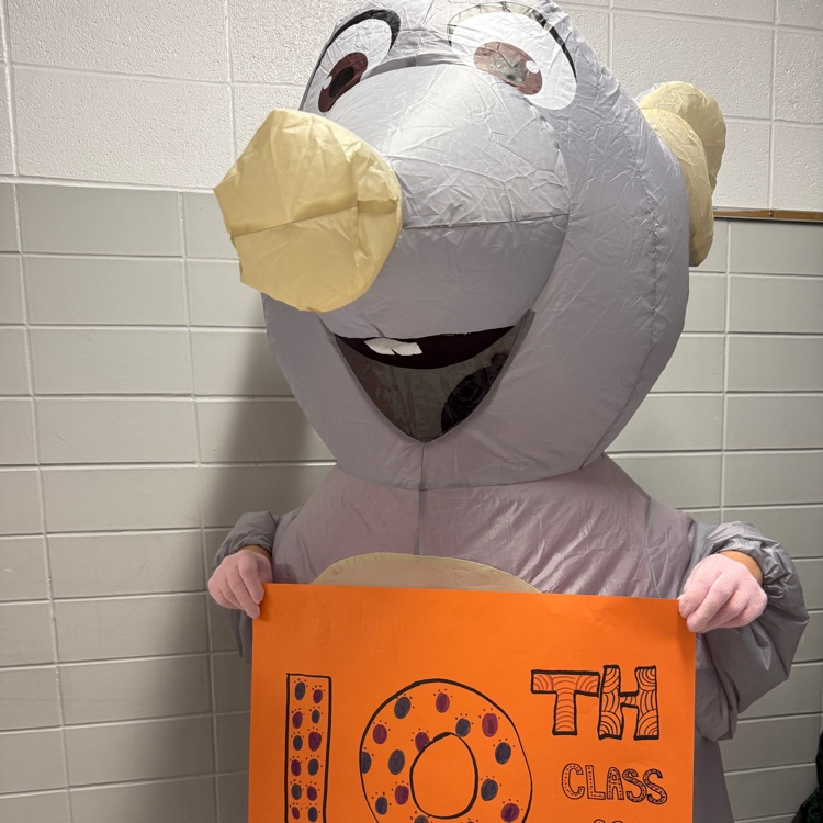 rat