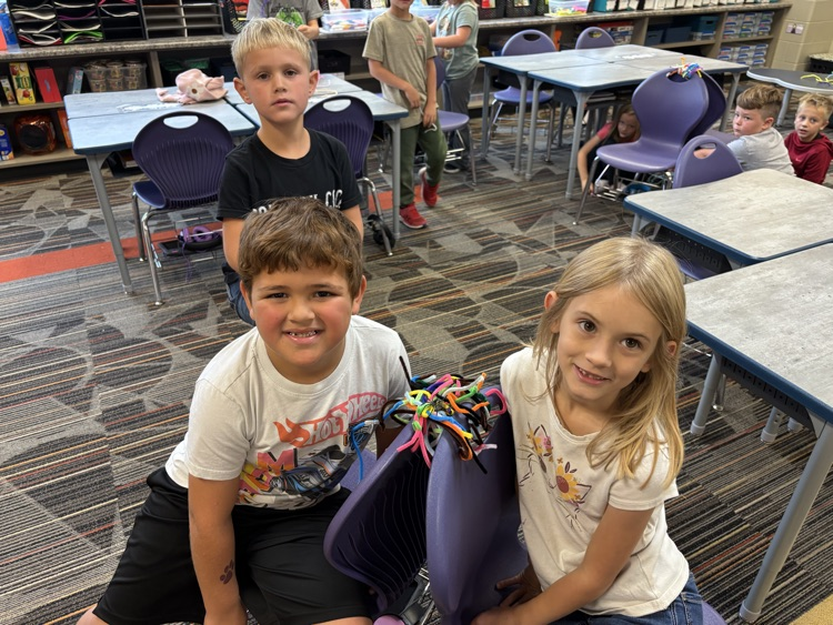 Designing spiderwebs 