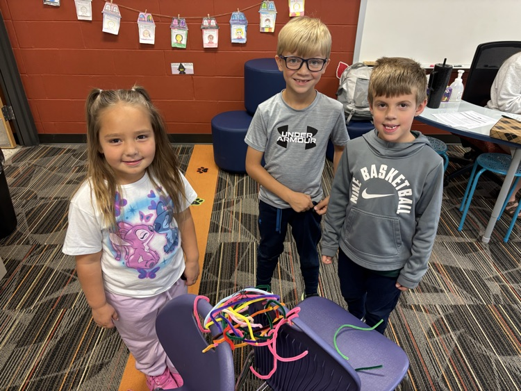 Designing spiderwebs 