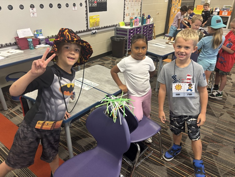 Designing spiderwebs 