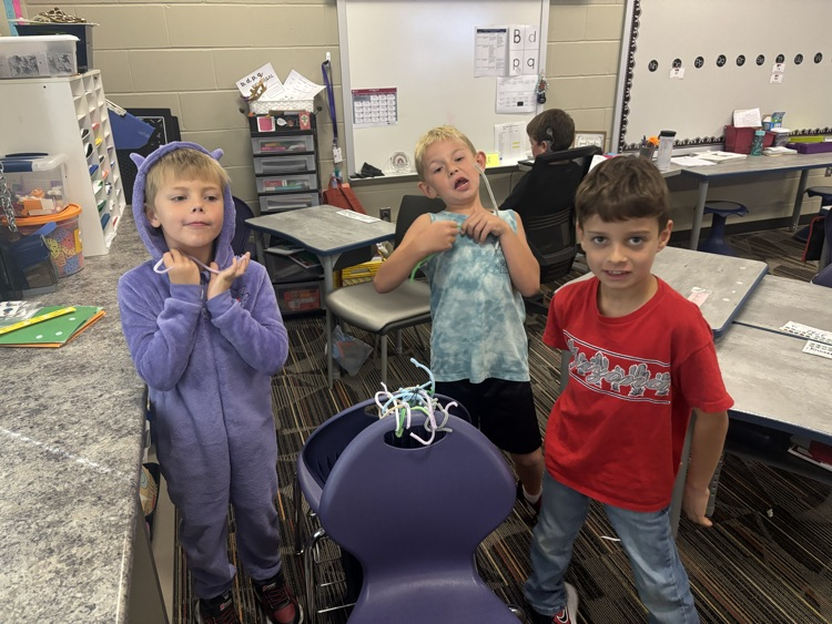 Designing spiderwebs 