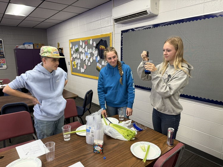 Students conducting experiment