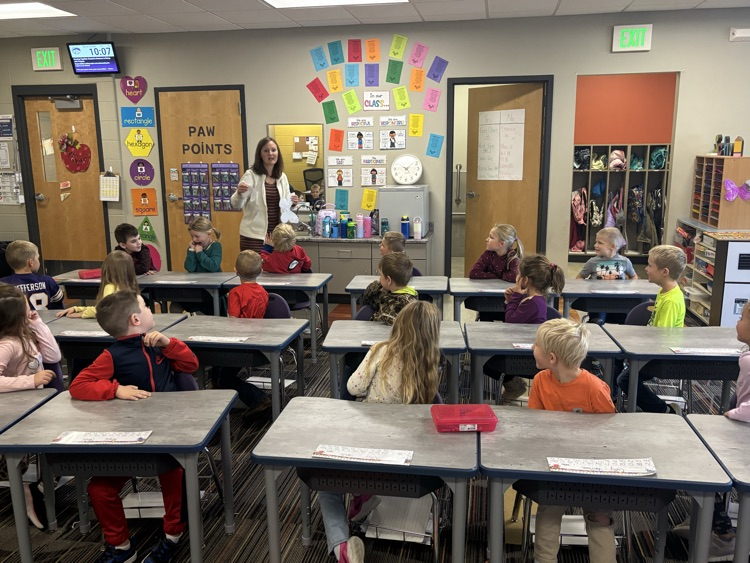 Butterfly Camouflage 