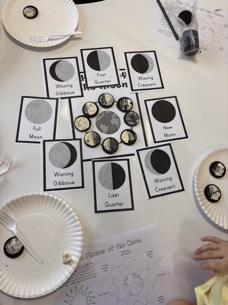 moon phases