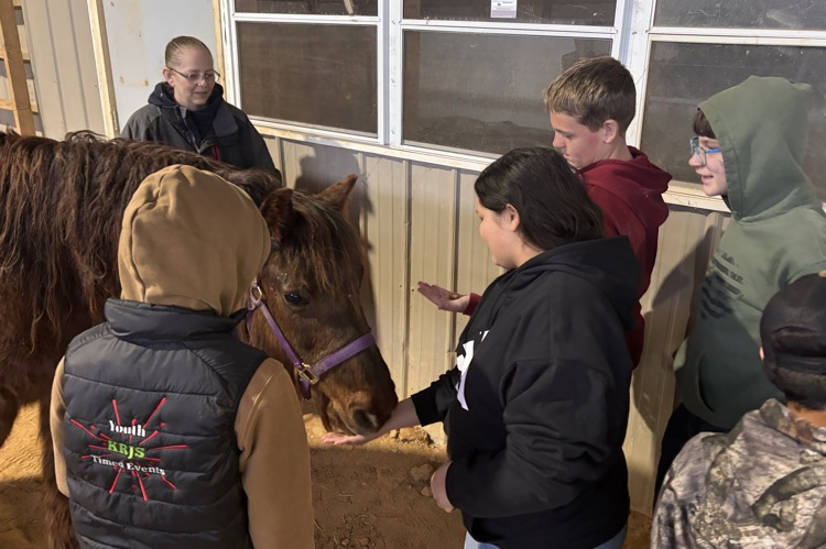 farrier observation
