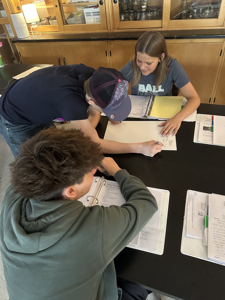 Students doing group work