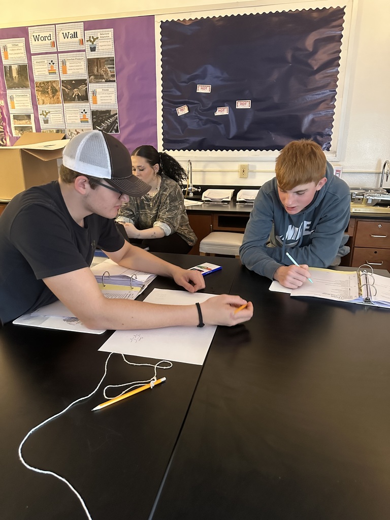 Pair of students doing group work