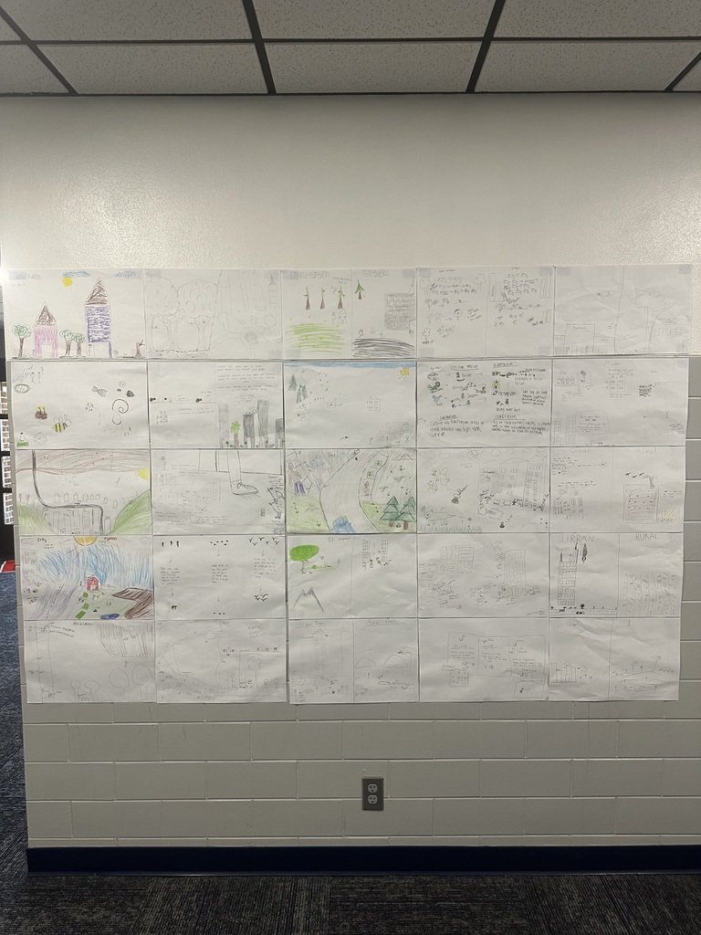 Wall of student made posters