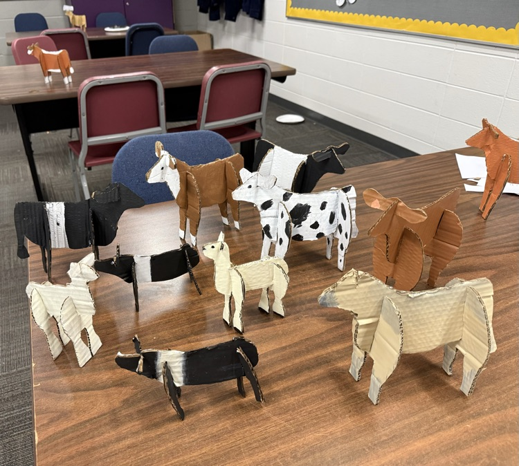 cardboard models