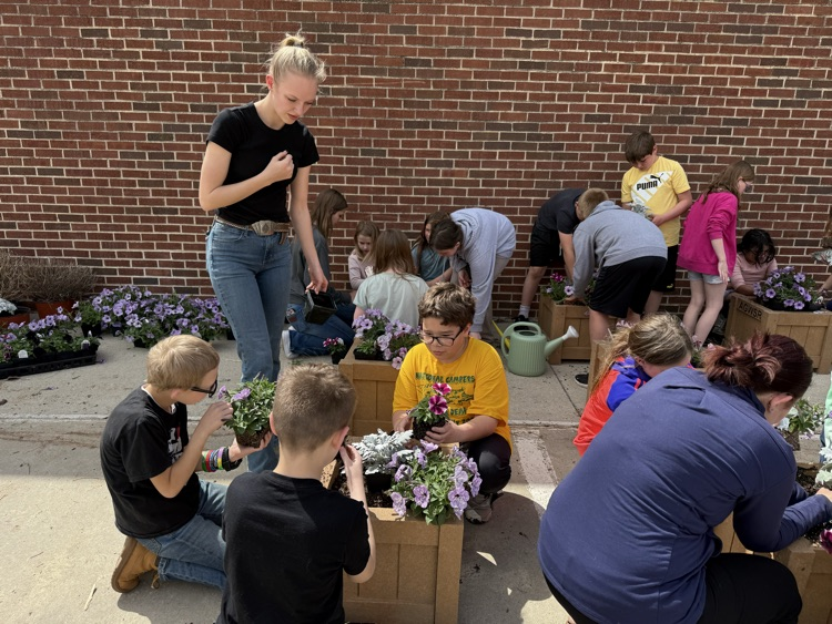 planting