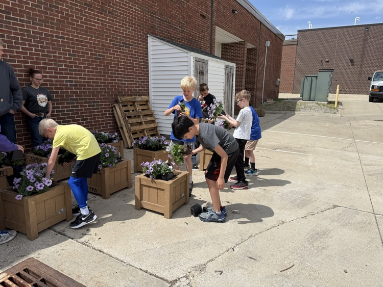 planting