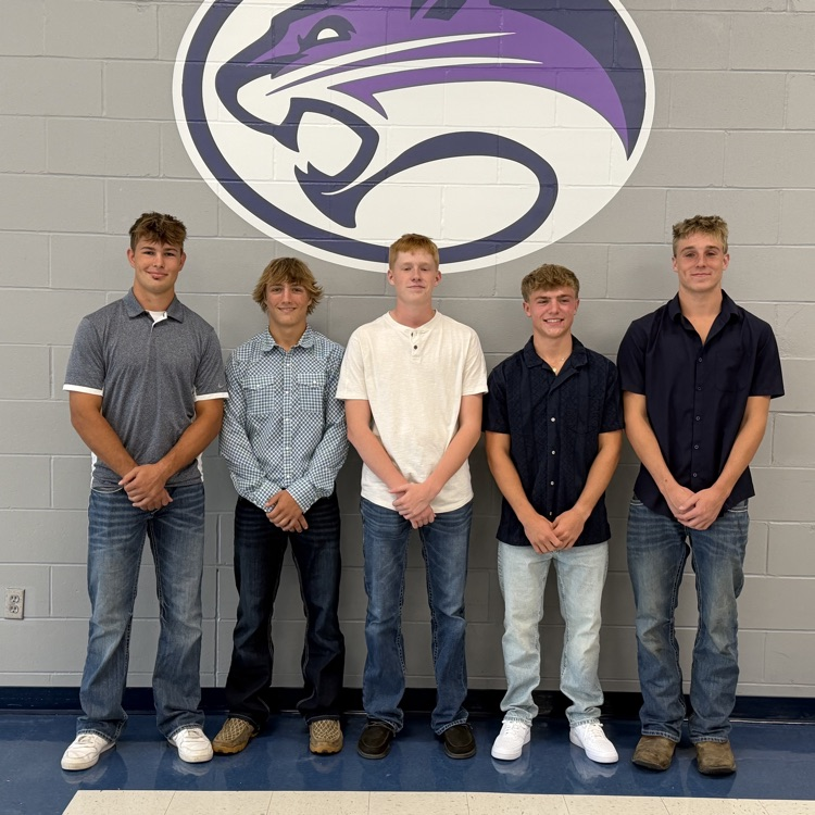 court gentlemen