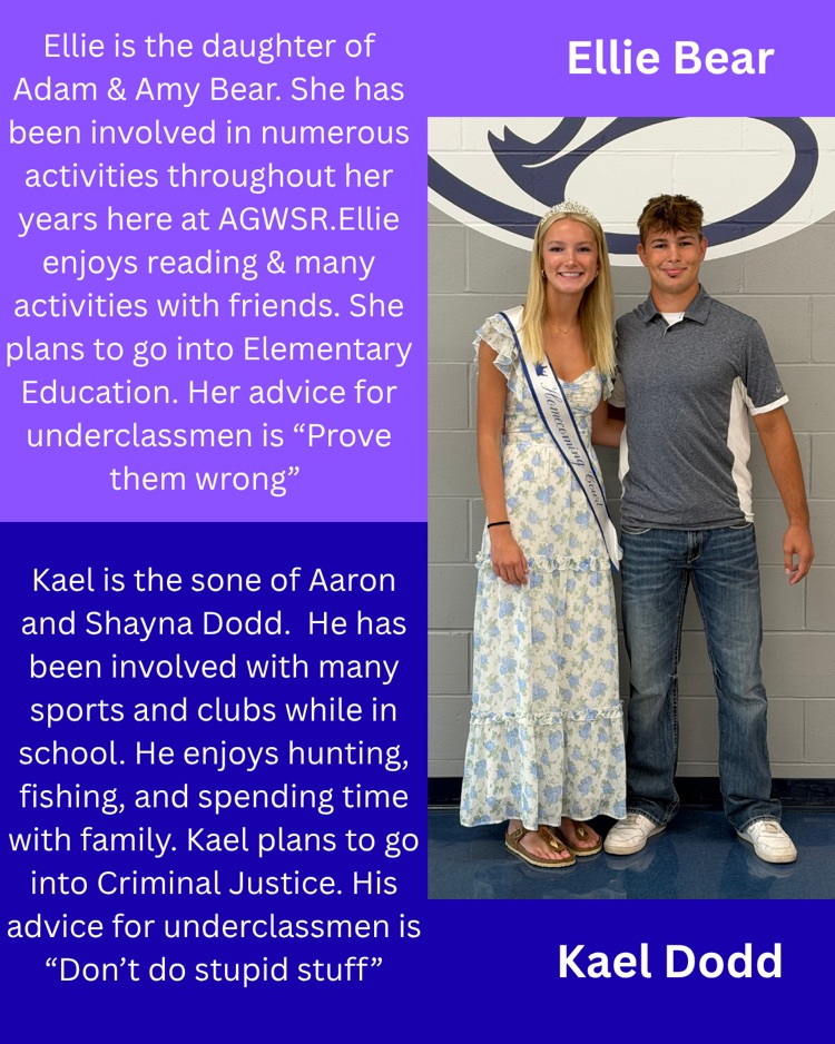 hoco court