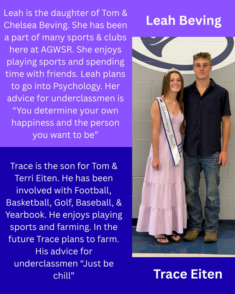 hoco court
