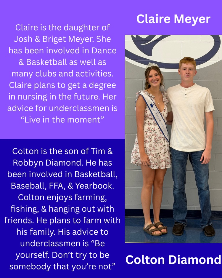 hoco court