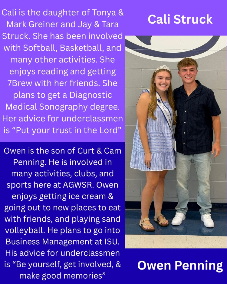 hoco court