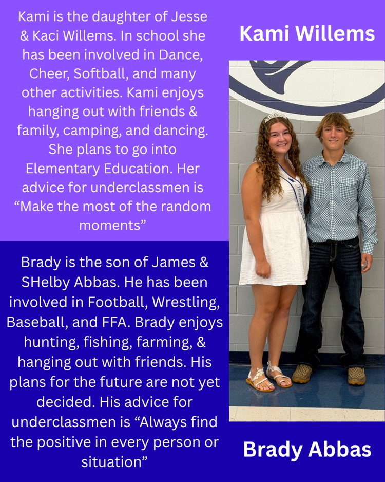 hoco court