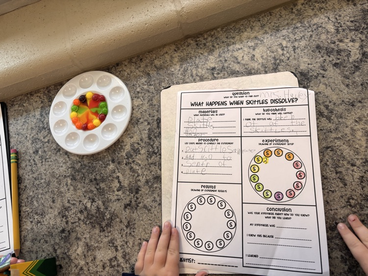 Skittles experiment 