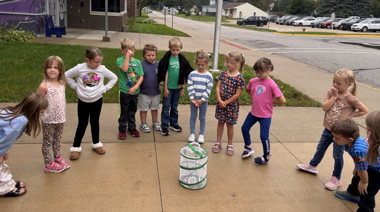 butterfly release 