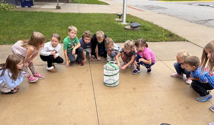 butterfly release 