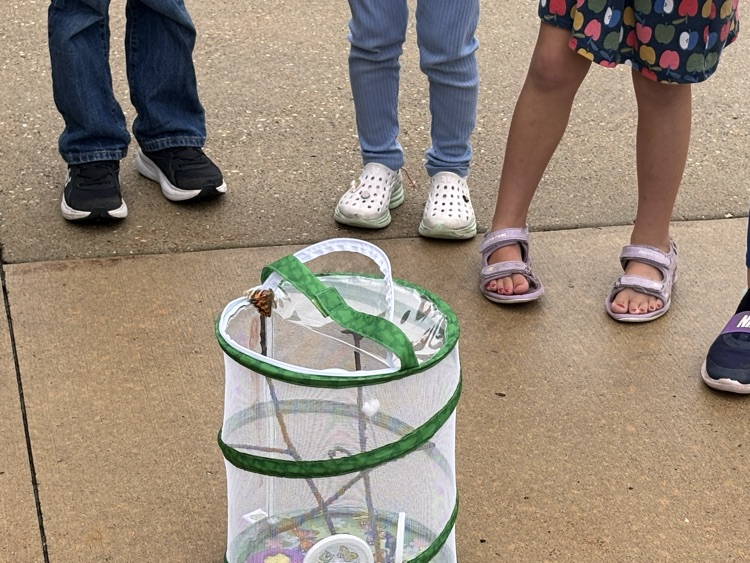 butterfly release 