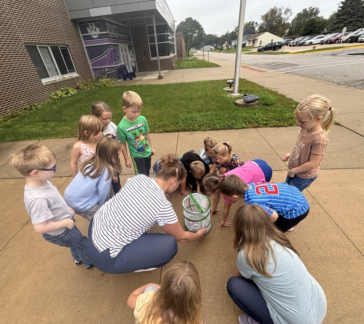 butterfly release 