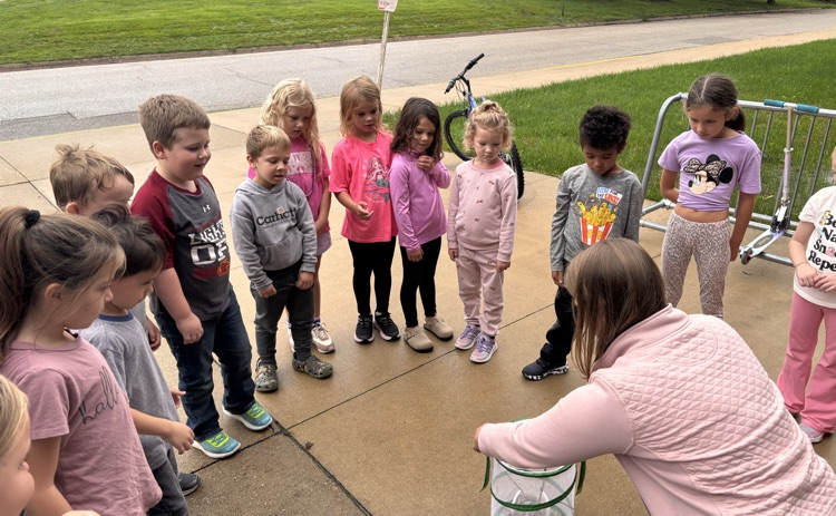 butterfly release 