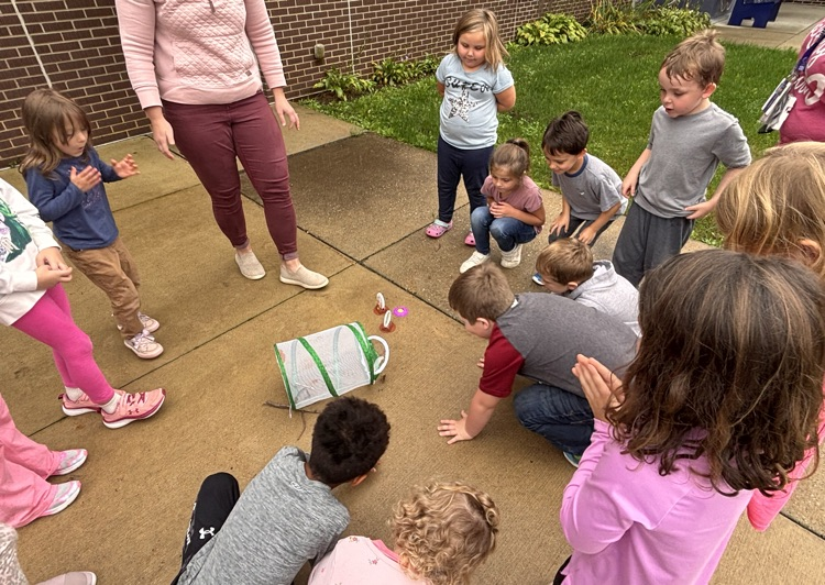butterfly release 