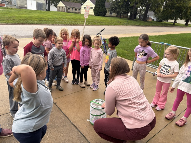 butterfly release 