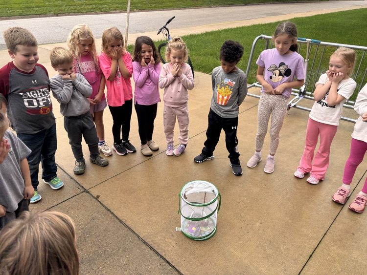 butterfly release 