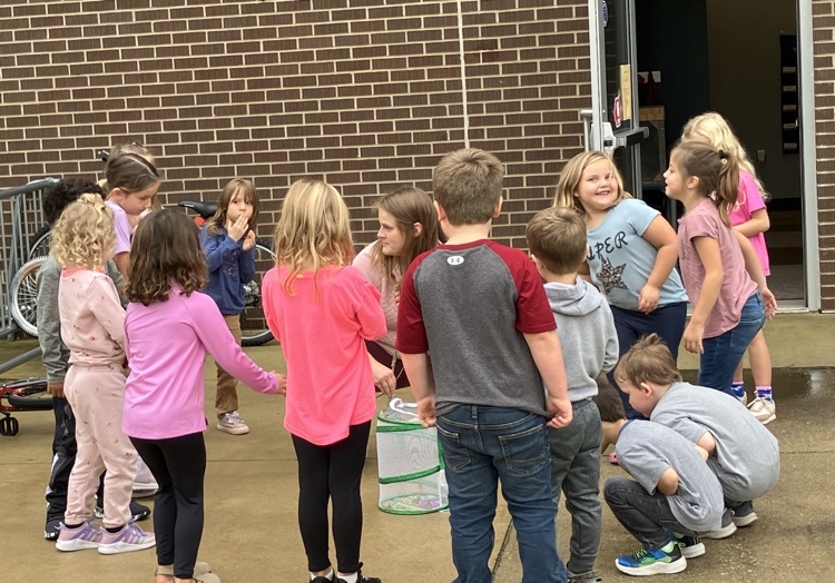 butterfly release 
