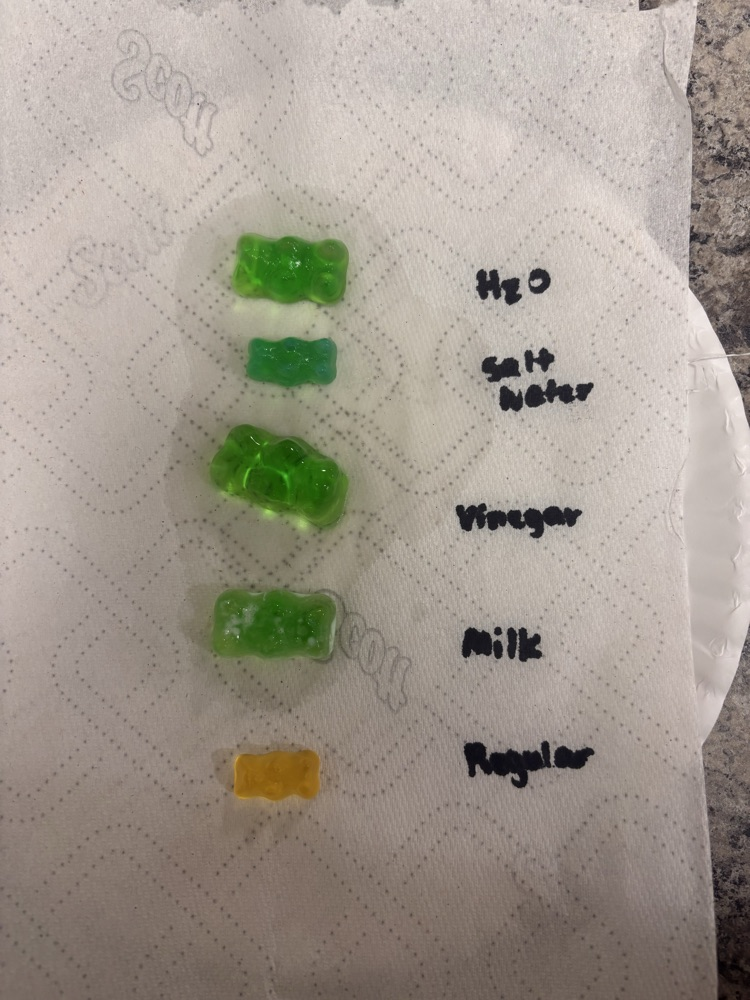 gummy bears 