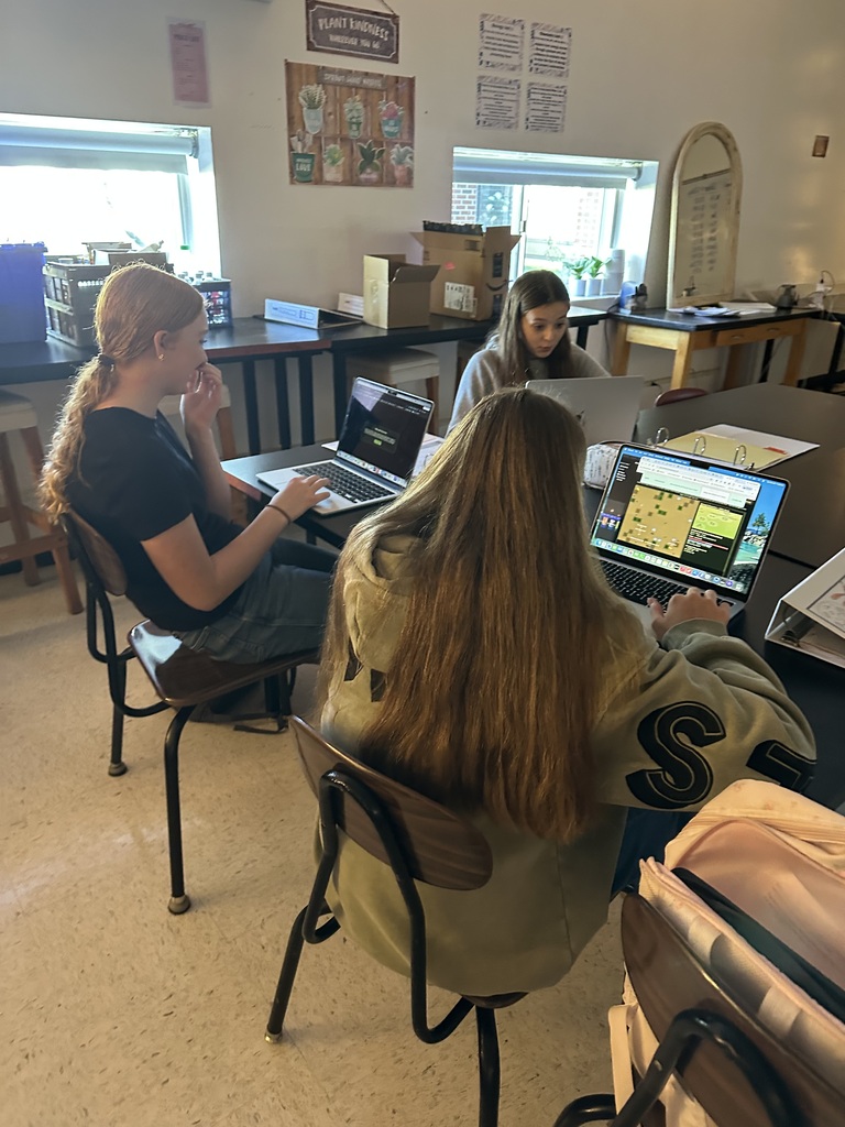Students playing the Willy the Wildebeest virtual simulation game