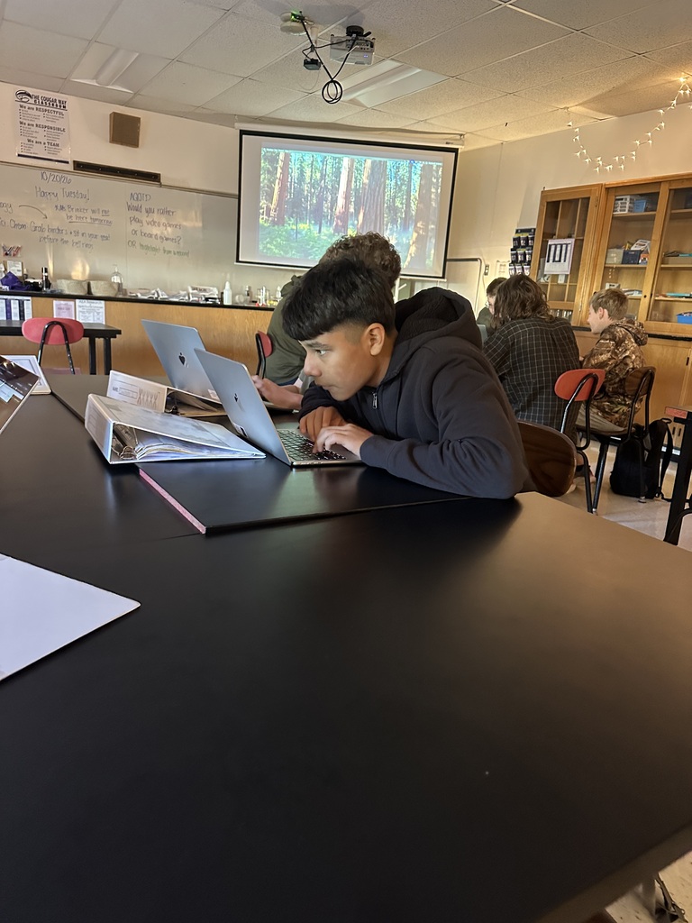 Student playing the Willy the Wildebeest virtual simulation game