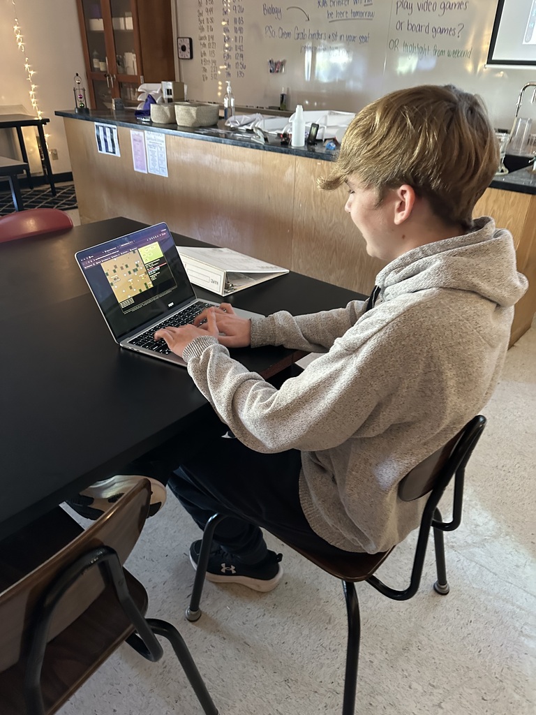 Student playing the Willy the Wildebeest virtual simulation game