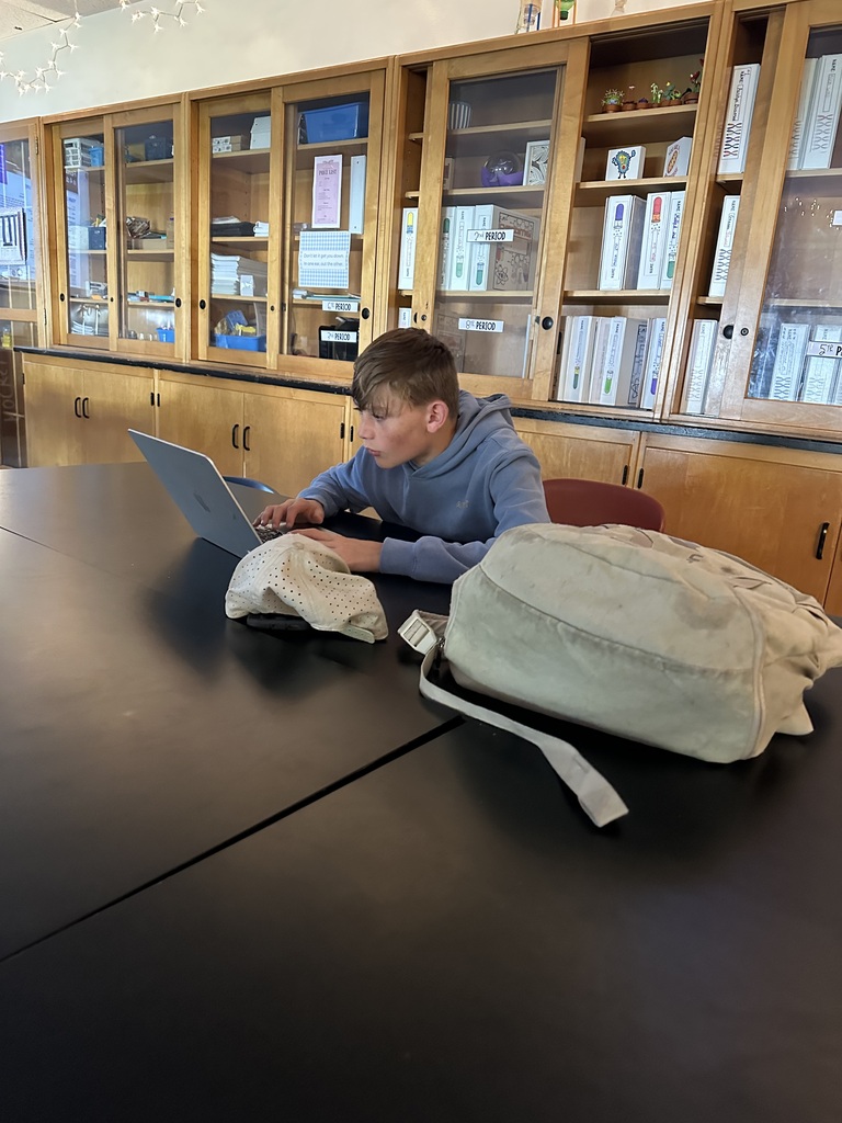 Student playing the Willy the Wildebeest virtual simulation game