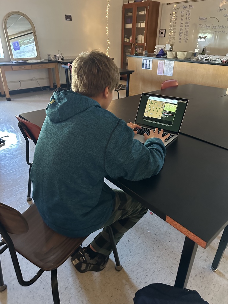 Student playing the Willy the Wildebeest virtual simulation game