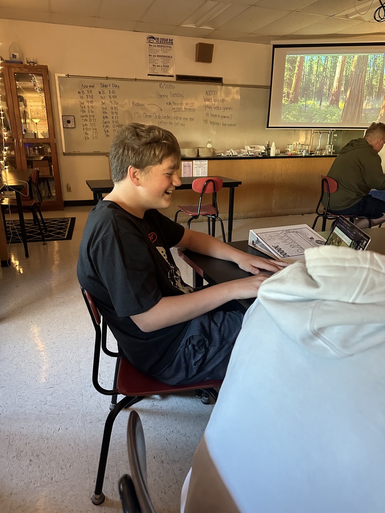 Student playing the Willy the Wildebeest virtual simulation game