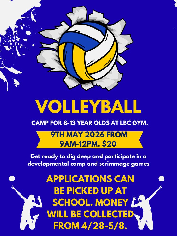 Volleyball Camp