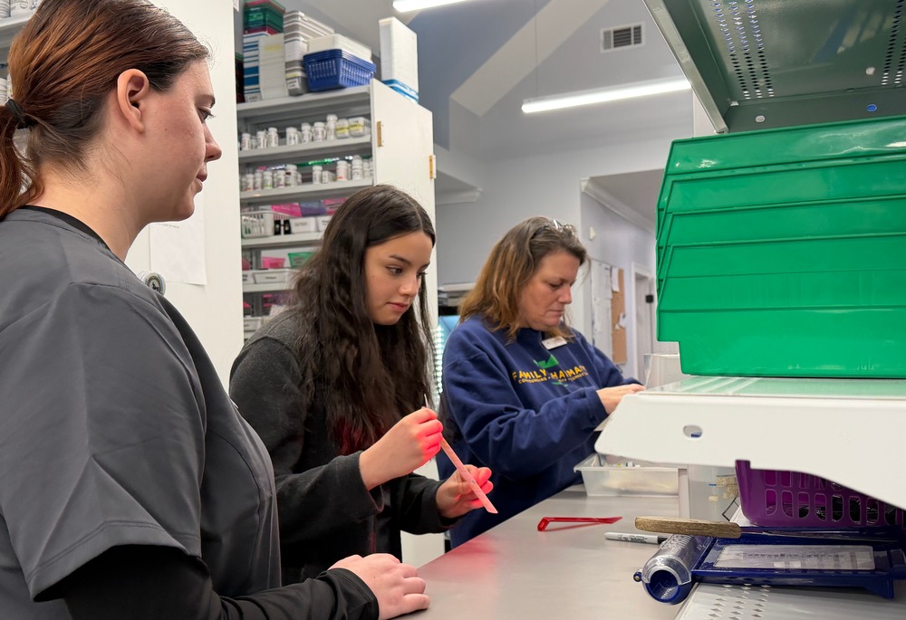 Students learning from pharmacy professional.