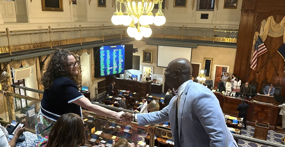 Dr. Palladino gets recognized in the South Carolina State House gallery.