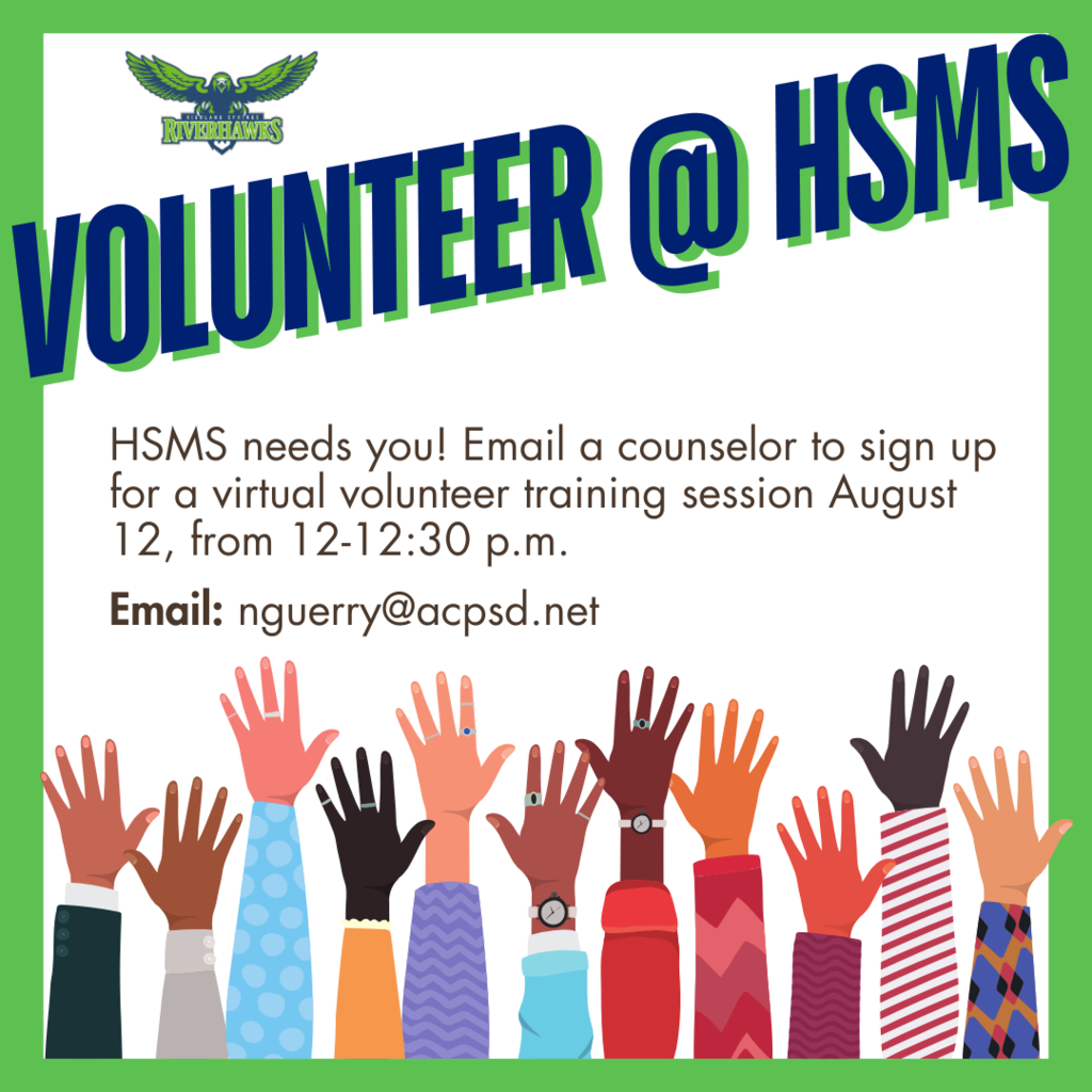 Volunteer @ HSMS 2025