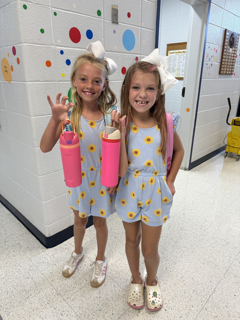 student twinning