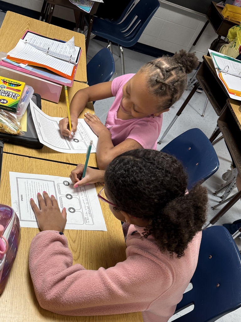 Students Working Together
