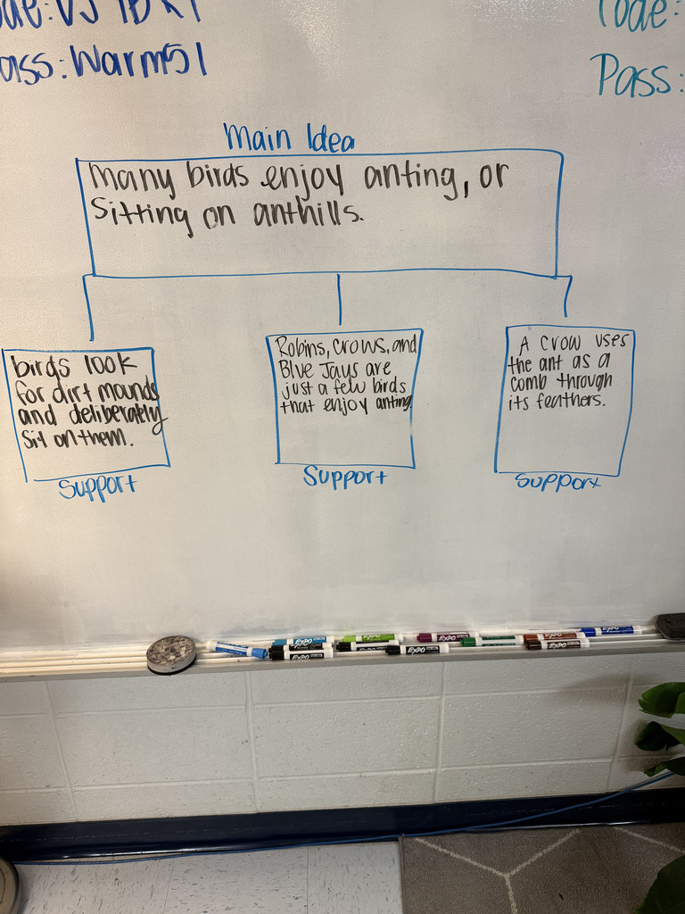 Main Idea Supporting Ideas identified