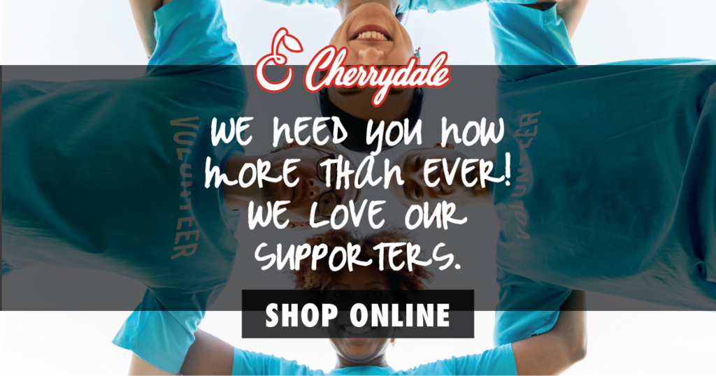 We need you fundraiser picture