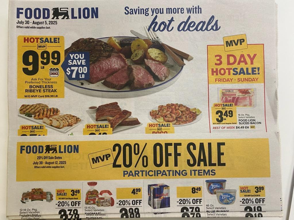 Food Lion Flyer
