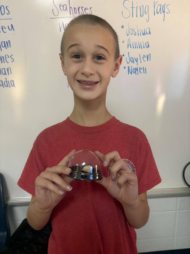 Third Grade student holding a desk pet