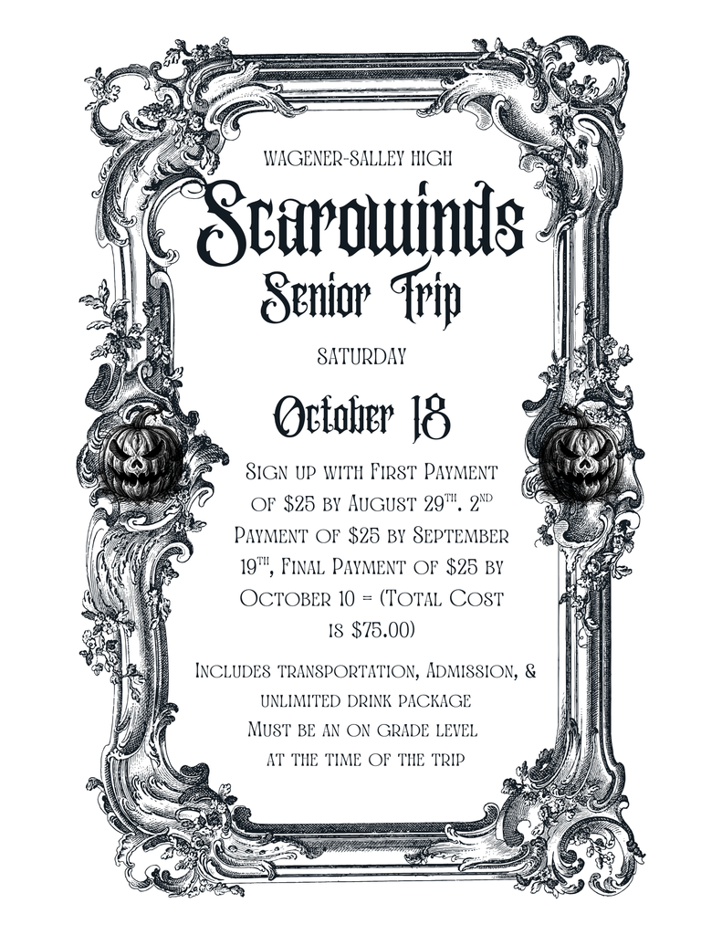 Scarowinds Flyer