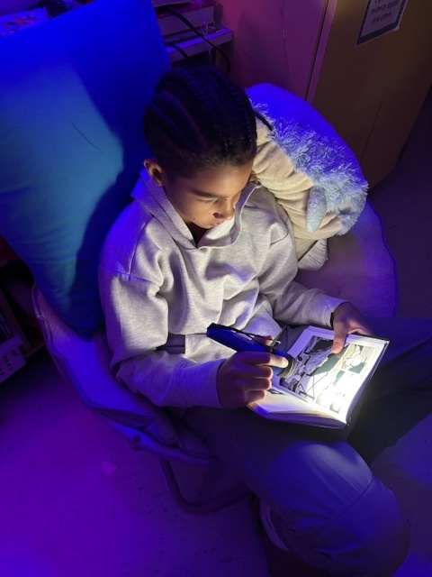 Reading by Flashlight